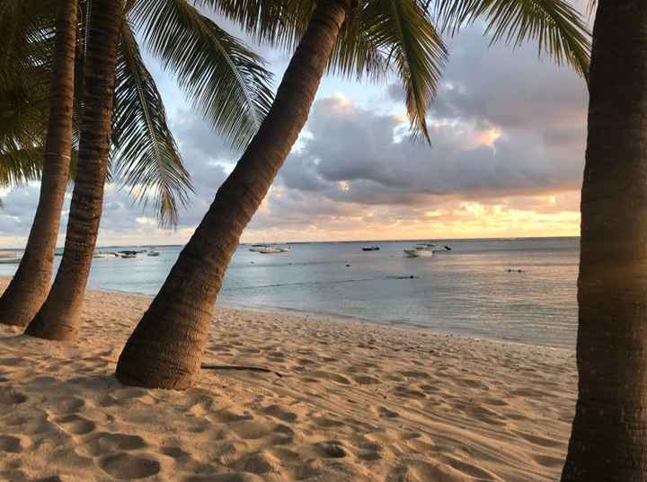 Honeymoon Dreaming - 5