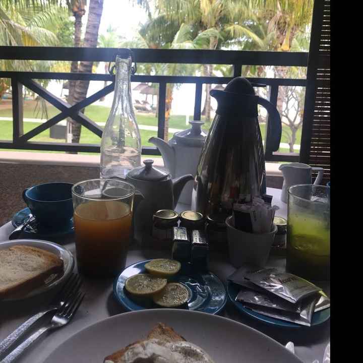 Honeymoon Dreaming - 8