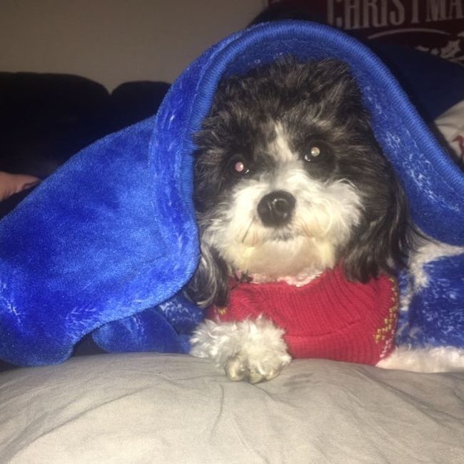 NWR: Puppy Friday!!