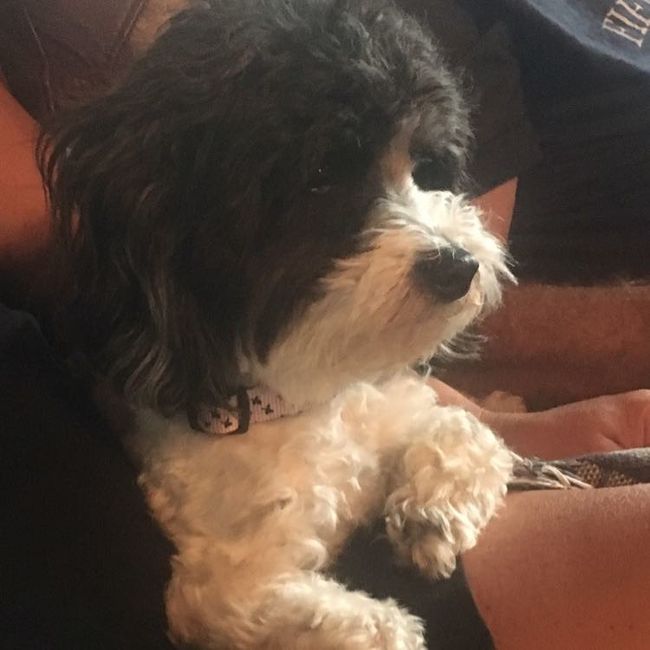 NWR: Furbaby!