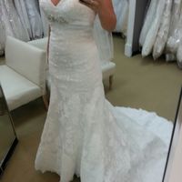 Removing the straps on Allure 8770?!