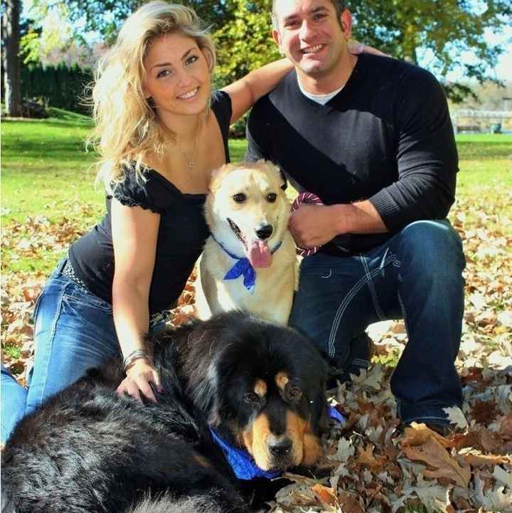 Fur babies with engagement/wedding photos