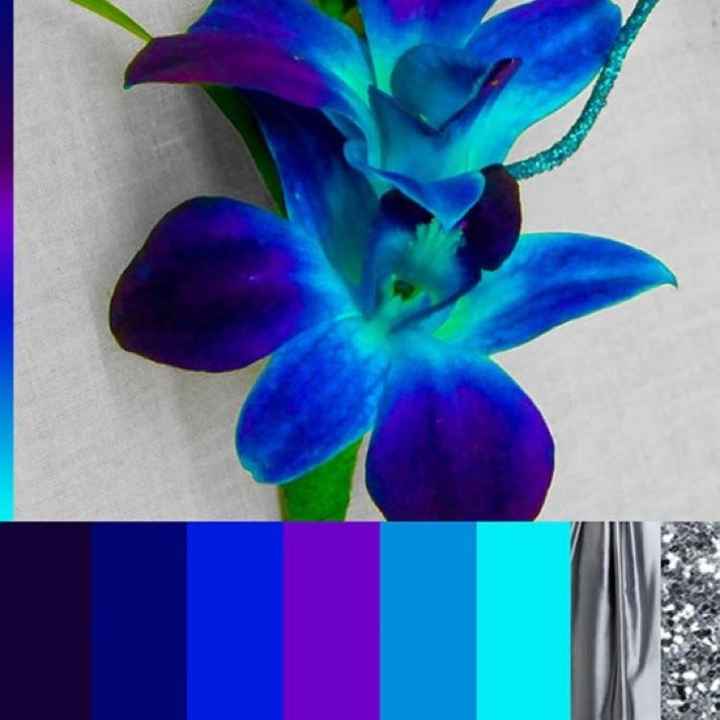 Wedding colors