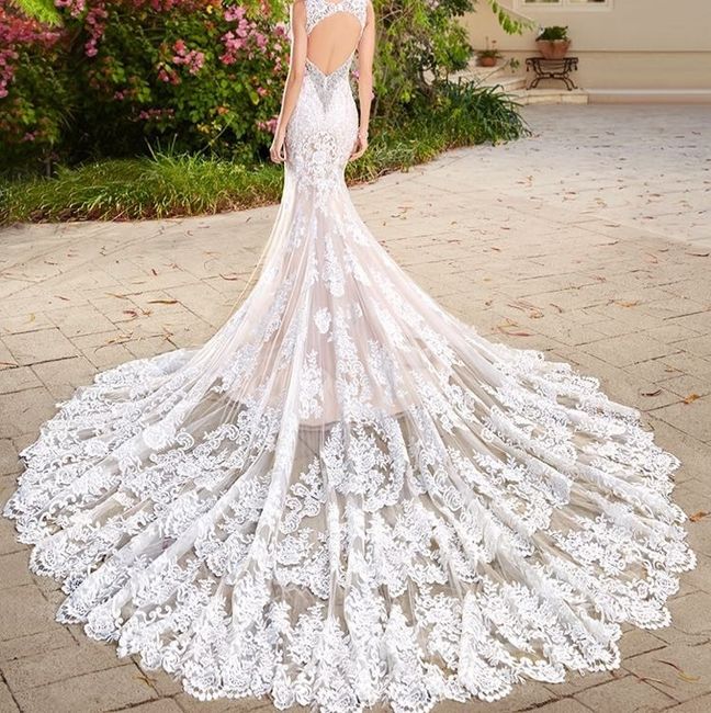 Veil or No veil?