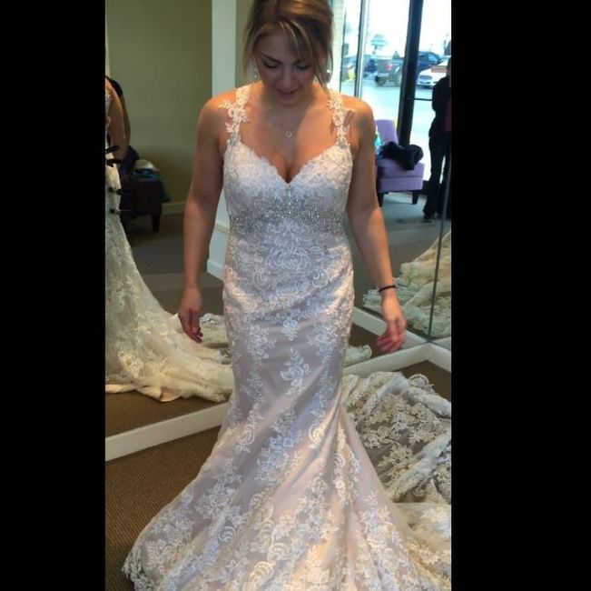 Let me see your DRESS!