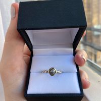 Show me the Ring!💍 - 1