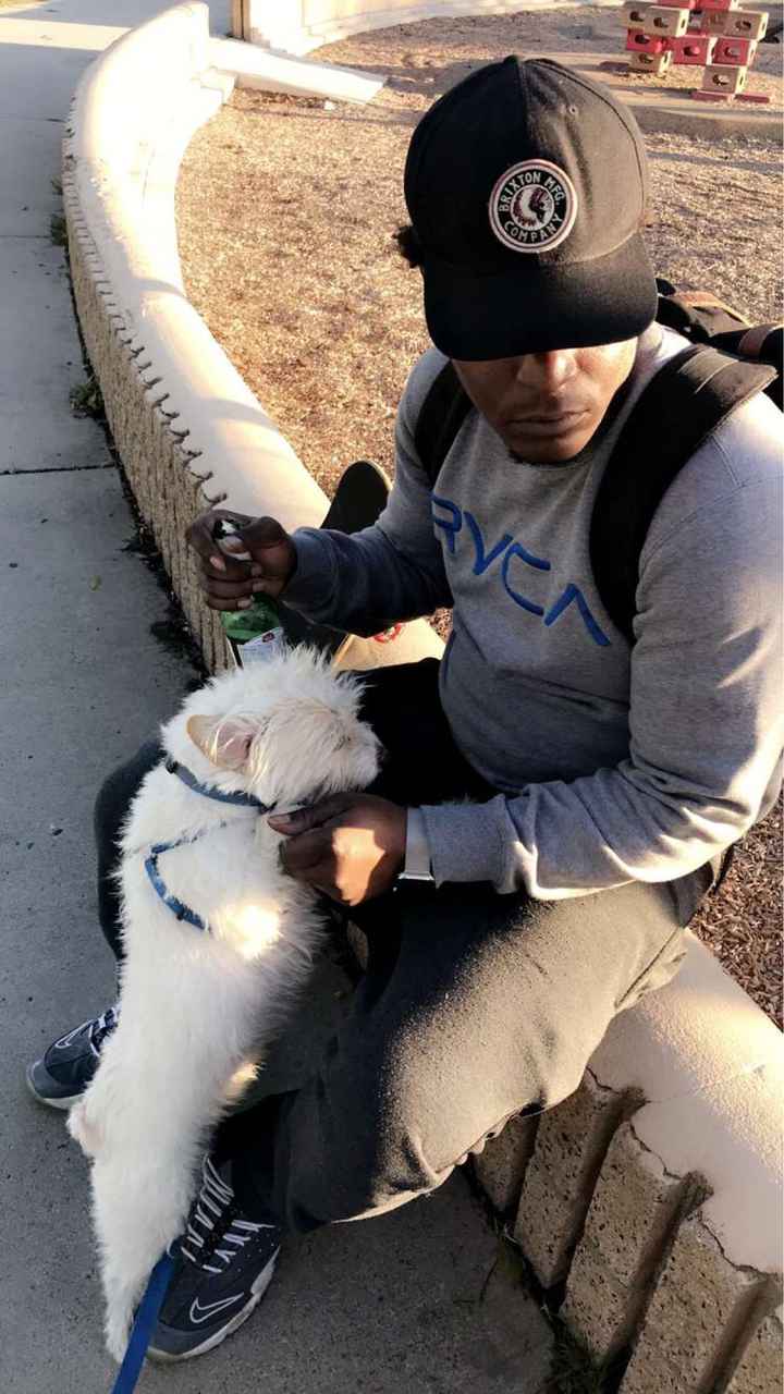 Show me your fiance and pet - 1