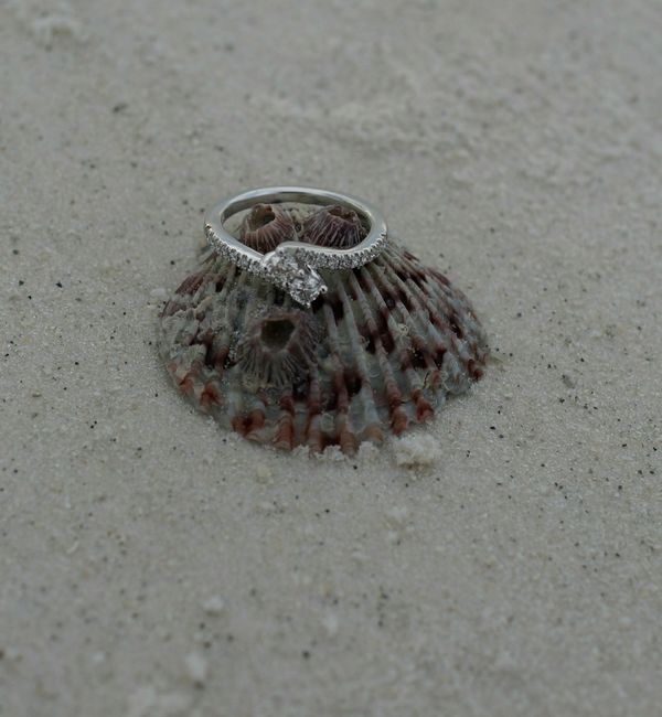 Let's see your rings!! <3