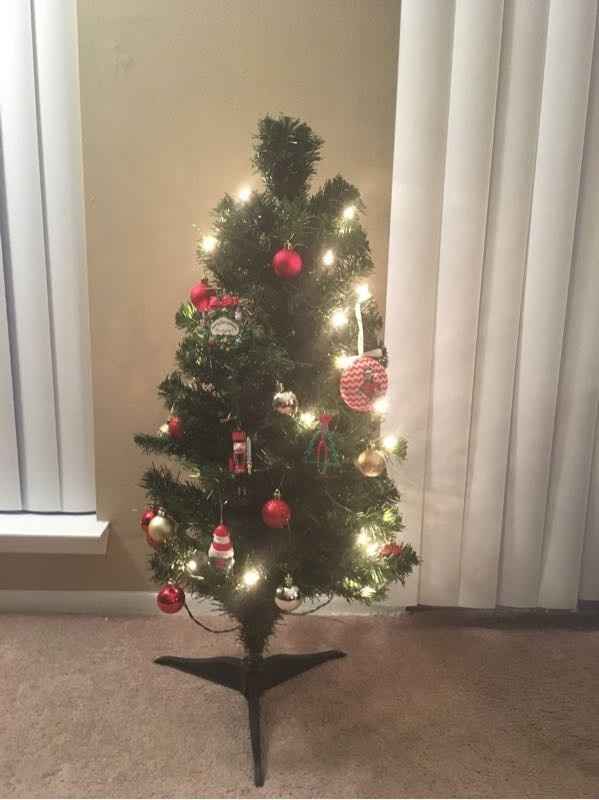 NWR-show me your Xmas trees