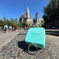 2024 Brides - Show us your ring! - 1