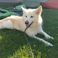 When do you plan on having kids? - 1