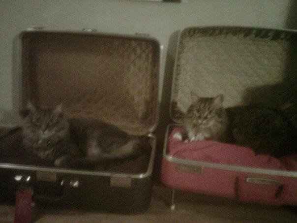 We've seen your rings, your dresses, your jewels.... show me your