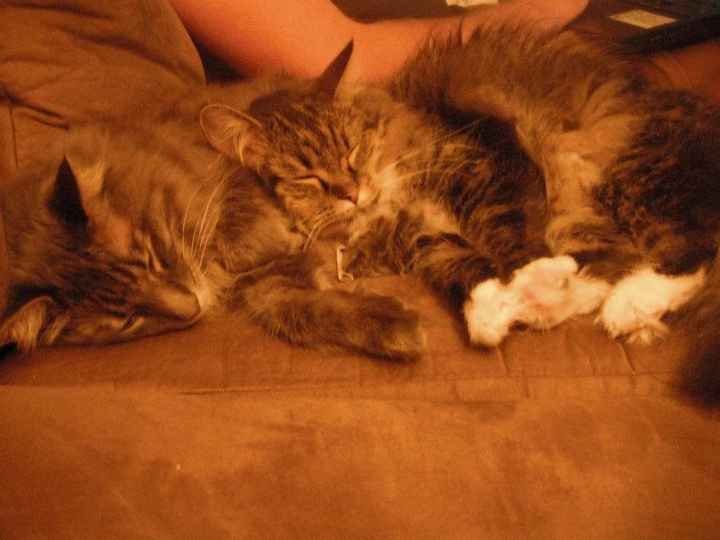 We've seen your rings, your dresses, your jewels.... show me your