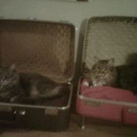 We've seen your rings, your dresses, your jewels.... show me your