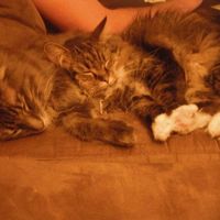 We've seen your rings, your dresses, your jewels.... show me your