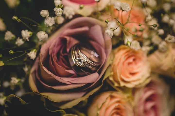 Got our pictures back!