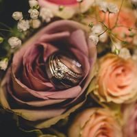 Got our pictures back!