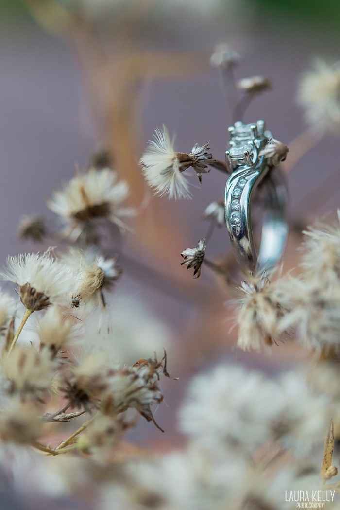 Sneak peek of my engagement photos!