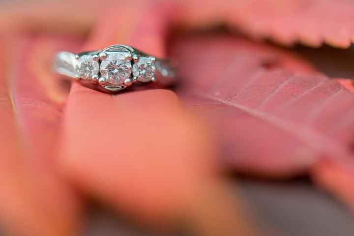 Sneak peek of my engagement photos!