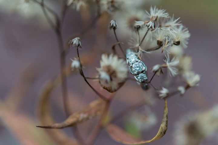 Sneak peek of my engagement photos!