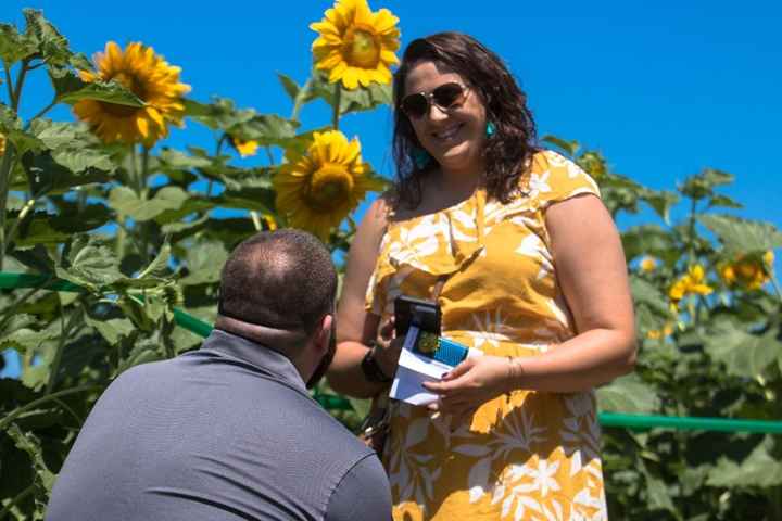 Surprise Proposal