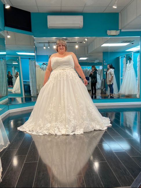 Any Plus Size Brides Out There? 6