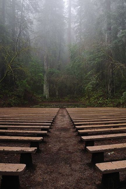 Elegant Viking/norse themed wedding? 20