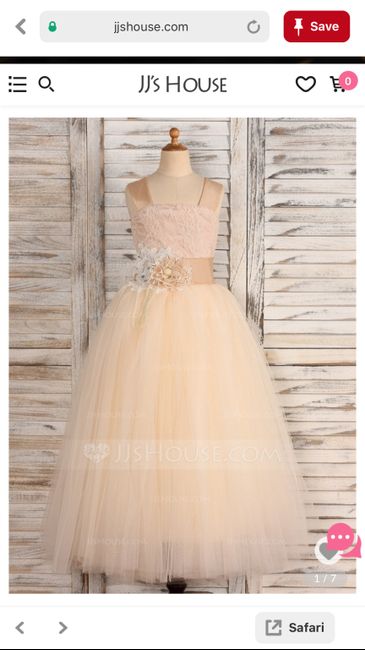 Where did you get your flower girl/jr bridesmaid dresses? - 2