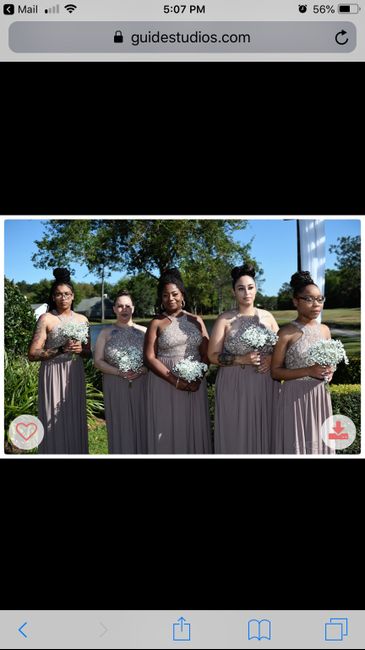 Bridesmaids Dresses from Davids Bridal - 1
