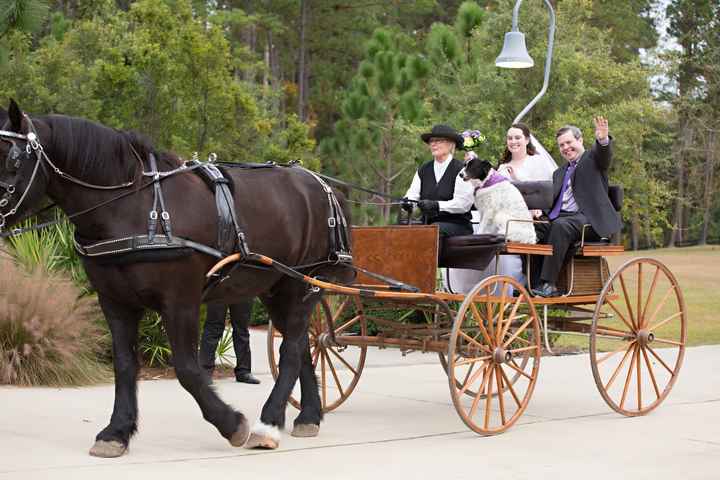 It's Been a While, but I Have PRO PHOTOS to Share!