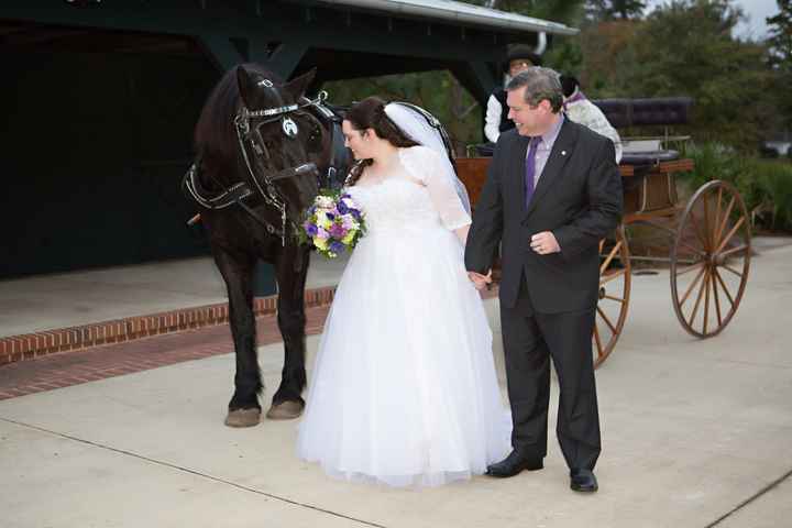 It's Been a While, but I Have PRO PHOTOS to Share!