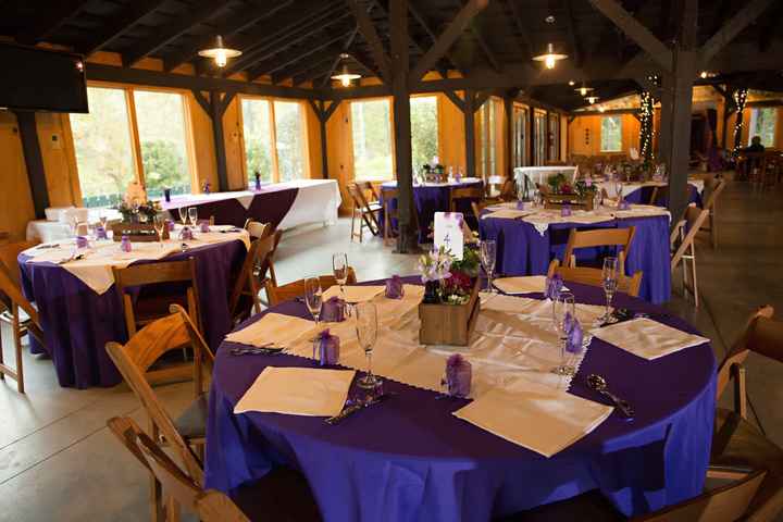 It's Been a While, but I Have PRO PHOTOS to Share!