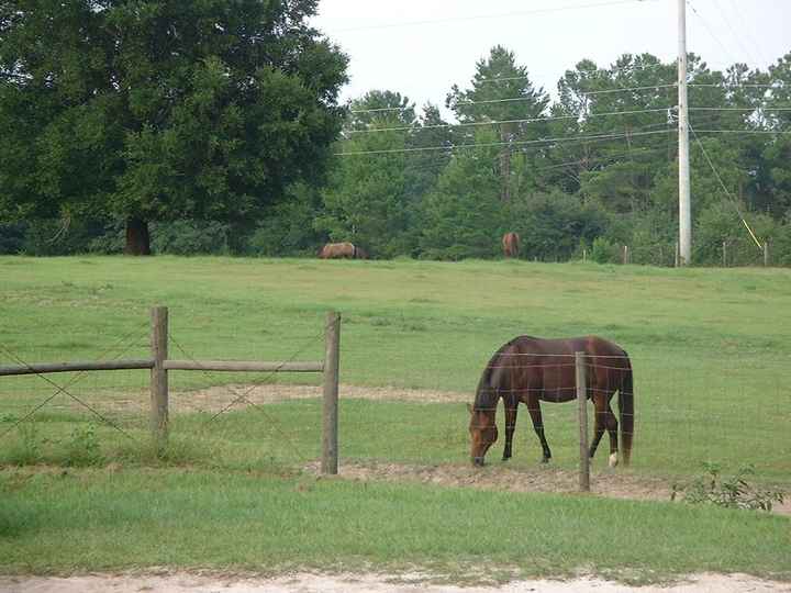 NWR: Any Horse Women?