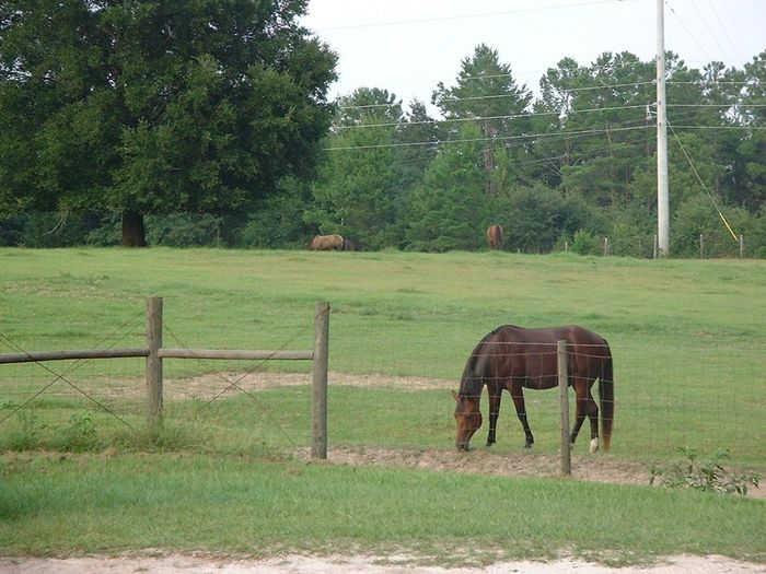 NWR: Any Horse Women?