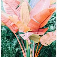 Need Help with Palette!!! - 4