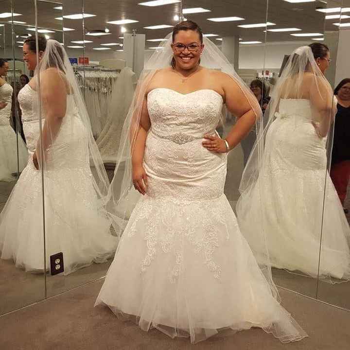Where are my curvy brides?