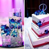 I'm back and I'm married!