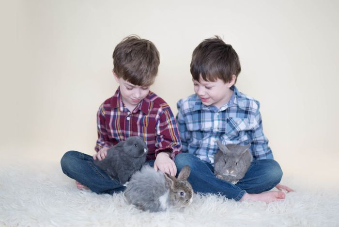 NWR - My boys with bunnies!!!