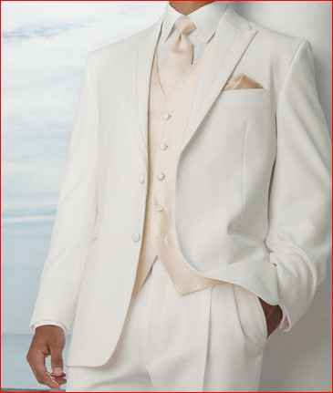 Did you ladies help pick your FH's wedding attire?