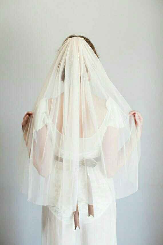 Veil opinions please!!!