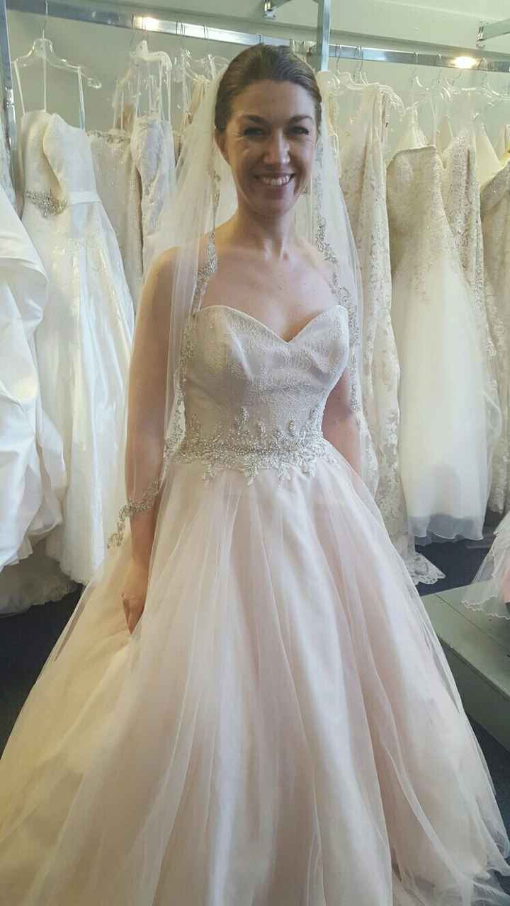 Blush Wedding Dresses