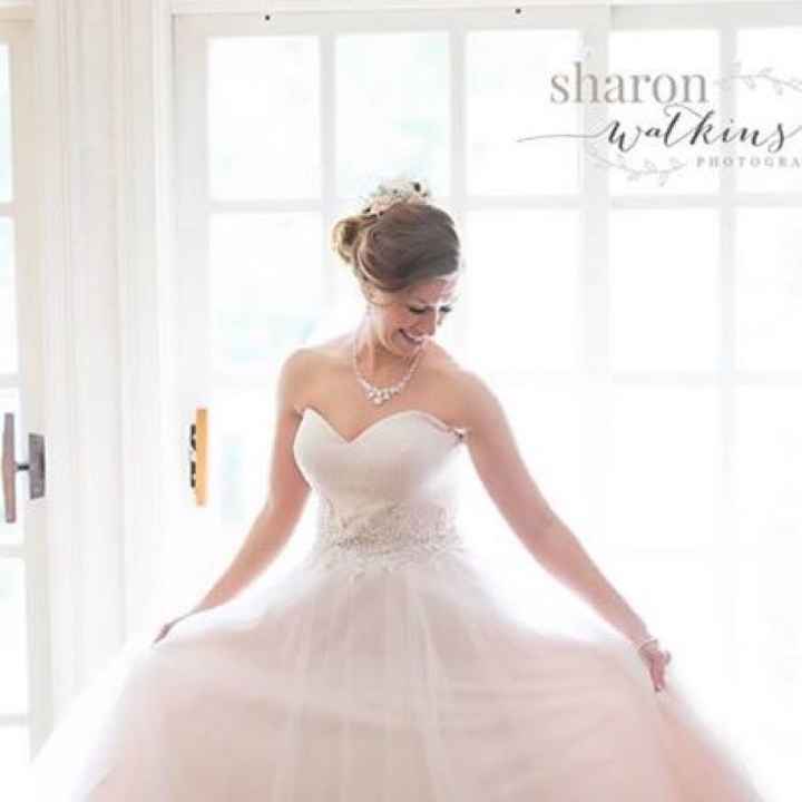 Itty Bitty Committee