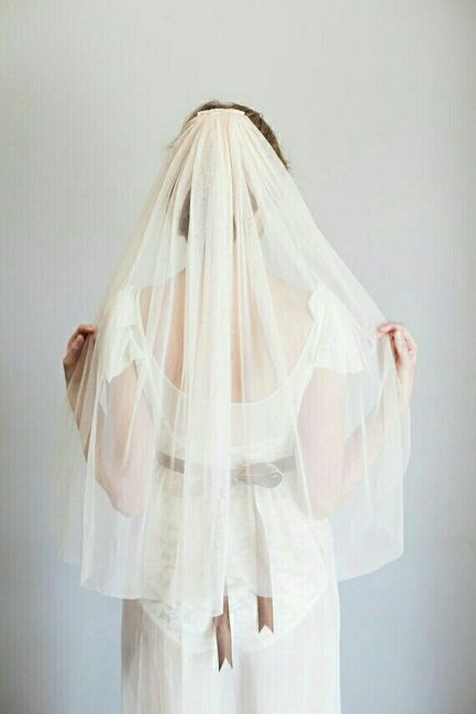 Veil opinions please!!!