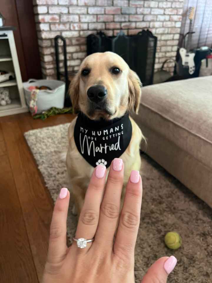 2024 Brides - Show us your ring! - 1