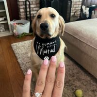 2024 Brides - Show us your ring! - 1