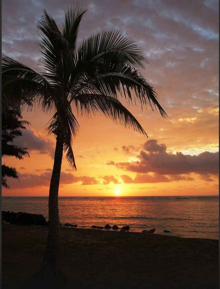 Show me your honeymoon destination
