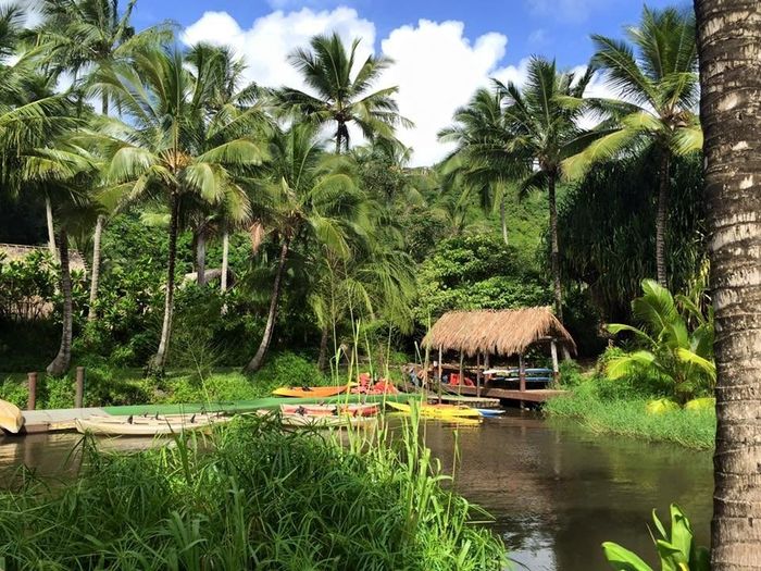 Show me your honeymoon destination