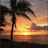 Show me your honeymoon destination