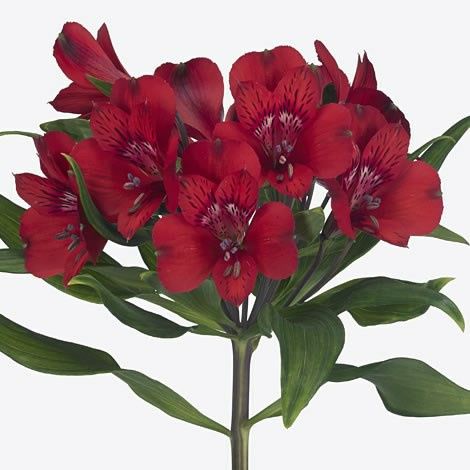 Winter wedding flowers 2