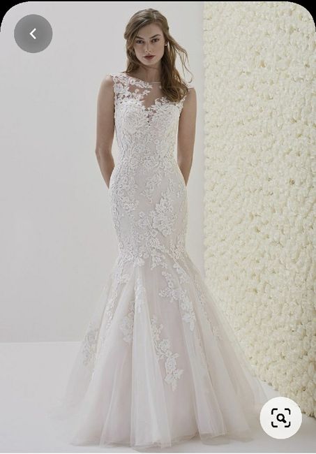 What amount did you spend on your wedding dress? (You don't have to answer) - 1